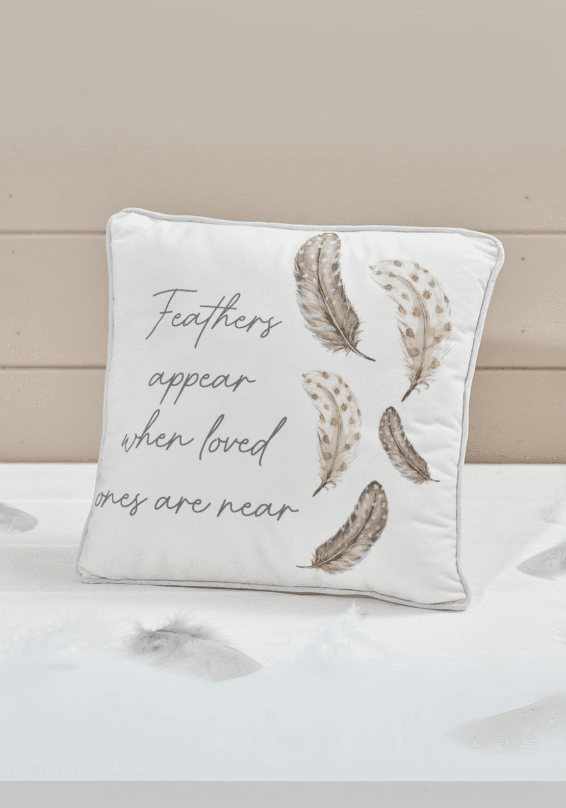 Grey Feather Memory Cushion – Velour Quote Pillow
