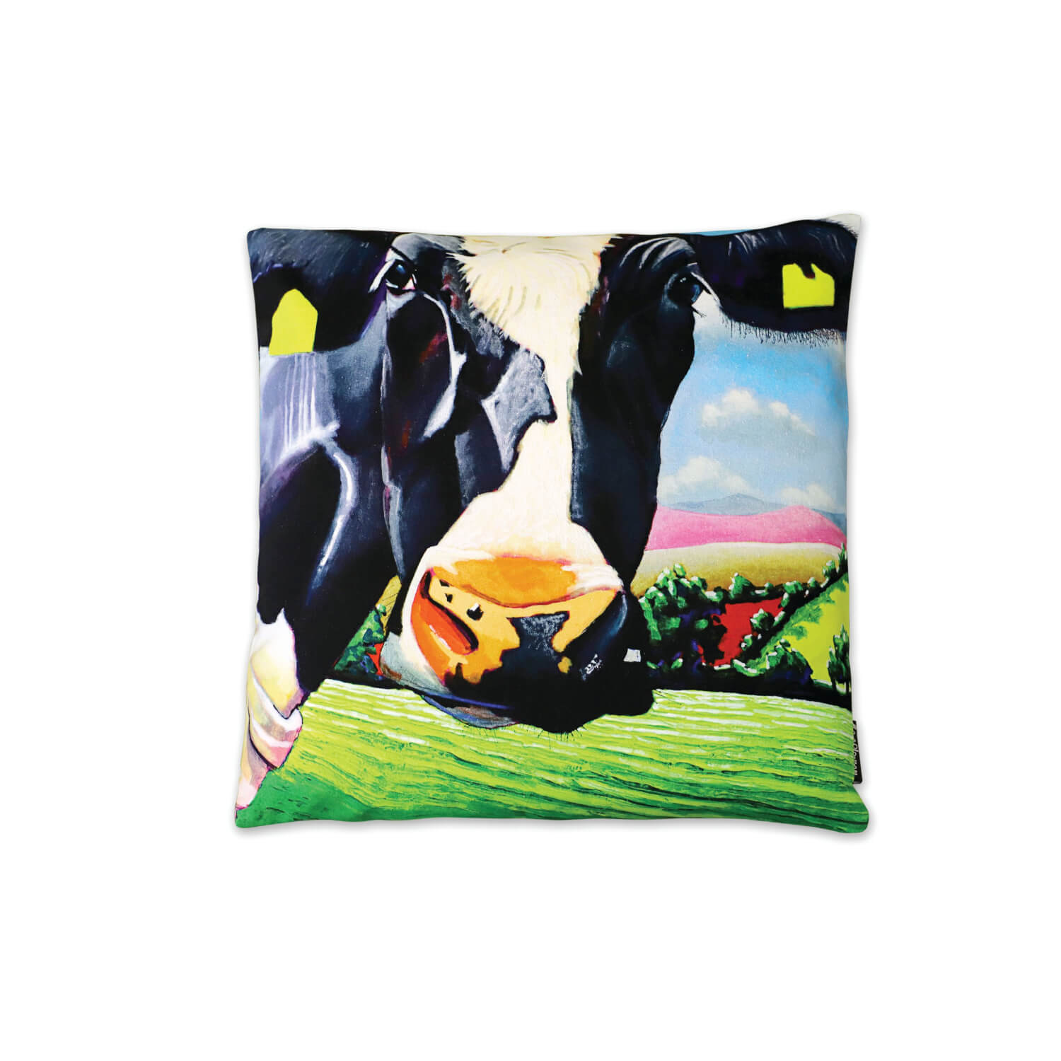 Belle Of The Ball Cushion 45cm x 45cm